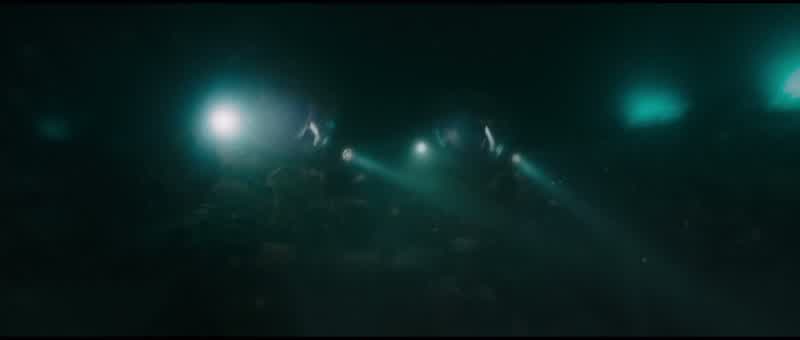 EMILY: What are they?