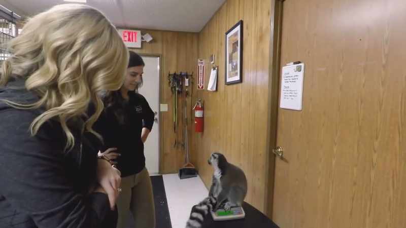 Emily: Okay, get your tail, buddy