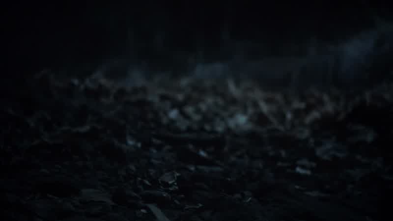 Emily, where are you?
