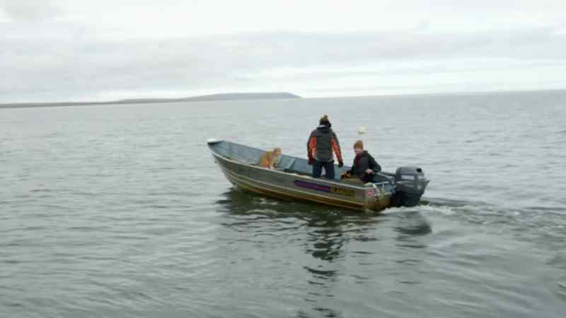 Emily's off the boats