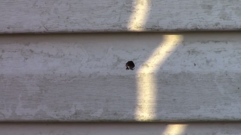 Emma was shot from outside the house while she was asleep