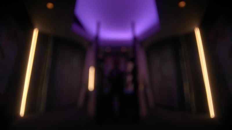 Encoding perceptions