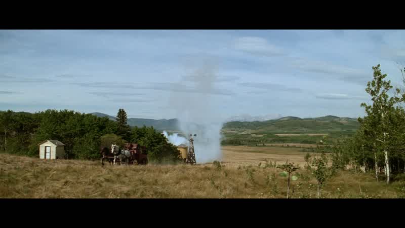 English Bob: It's the climate that does it