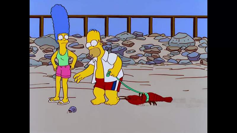 Enjoy your day at the beach