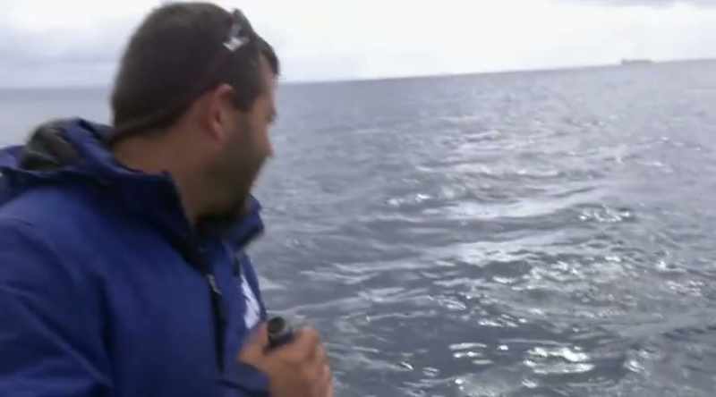 ENRICO: Oh, wow! That a big female