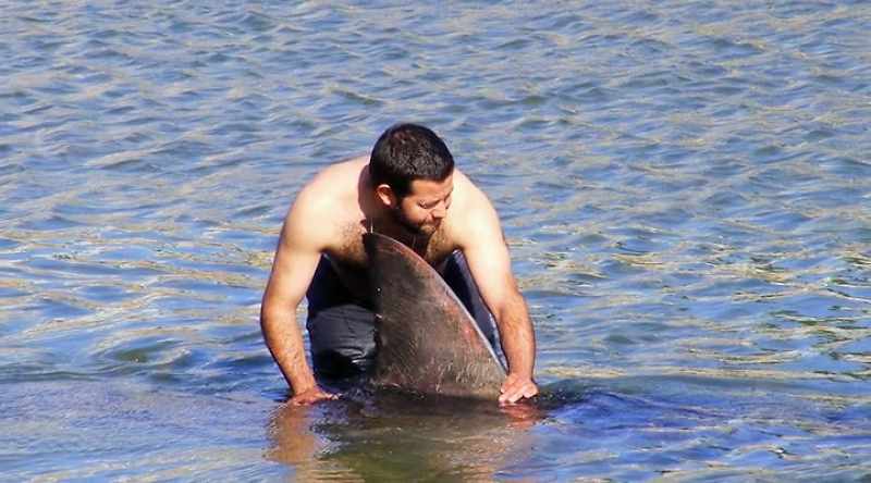 ENRICO: We were able to try to push it out to sea and