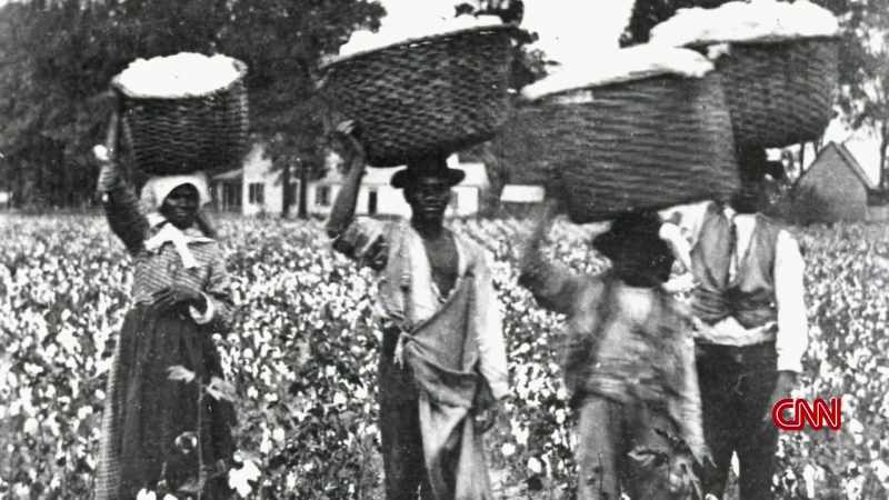 >> ENSLAVED PEOPLE ARE ENGAGED PRIMARILY IN COTTON PRODUCTION