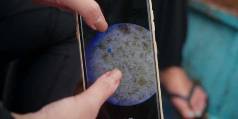 Entonces, ¿cuánta cantidad de microplástico