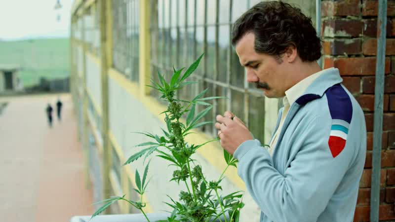 Escobar hadn't built himself a prison at all