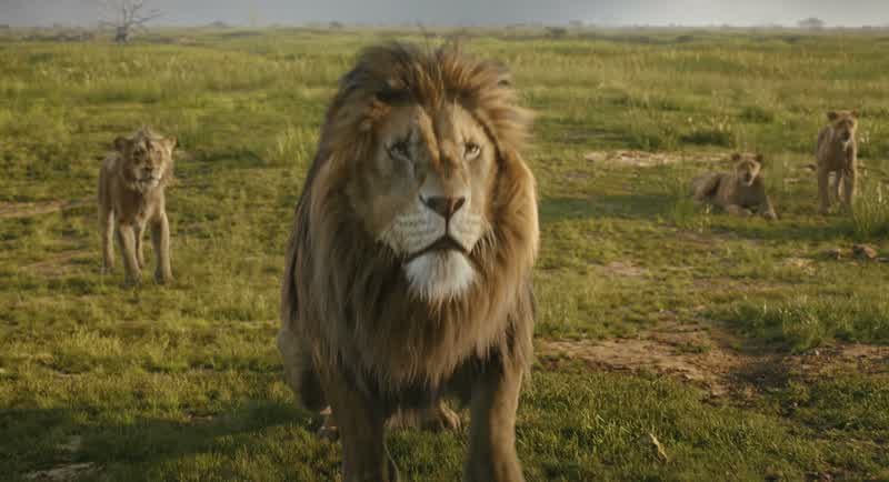 EsheWhat has happenedAre you hurtThey were huge White as ghostsLike nothing I've seen beforeOh ObasiHad Mufasa not been there ITakaI owe you a great debt MufasaWe need to prepareThey're downwind less