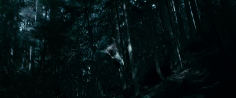 ESME: Emmett, no!