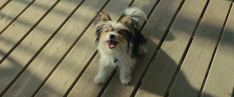 Ethan, it's me! It's Bailey, Bailey, Bailey