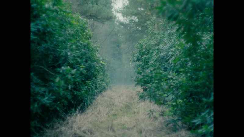 �� ethereal, dreamlike music ♪