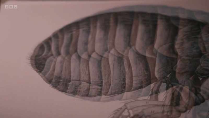 Even at this magnification