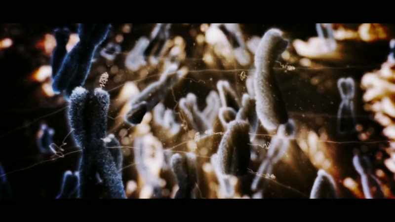 Even crack open our genetic code