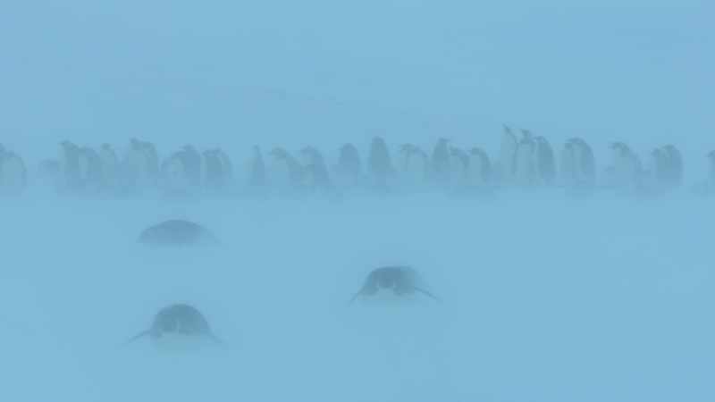 Even in this weather, adults must still head back and forth