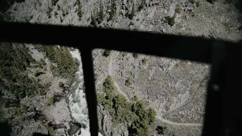 Even into the timber