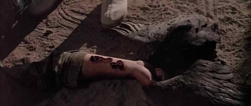 Even where it's chewed, no bleeding