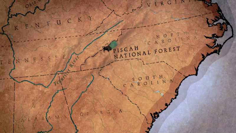 Even one in a national forest