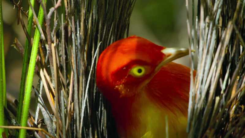 Even so, every stick has its place