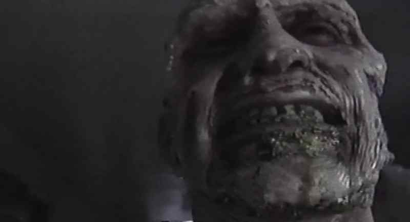 Even still, the zombies had their own unique appearance