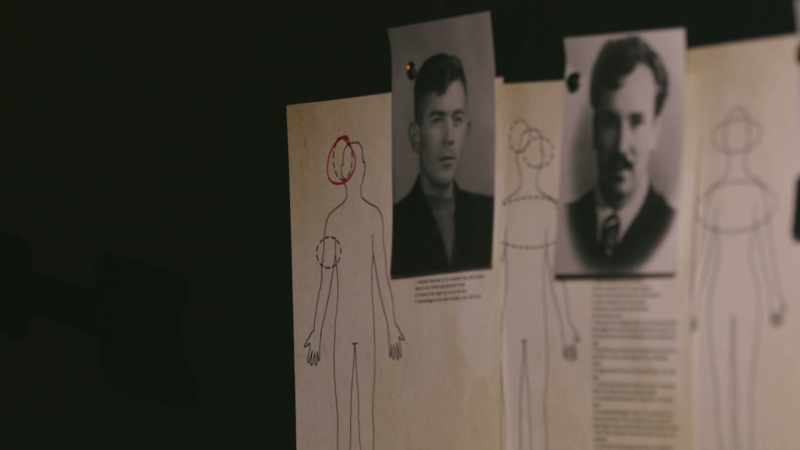 Even the autopsy report said it was highly unlikely
