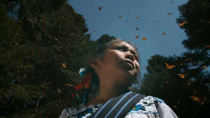 Even though every Monarch here has another home far away