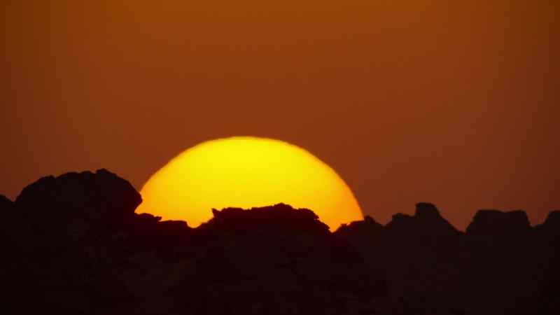 Even though some animals are well adapted to desert conditions