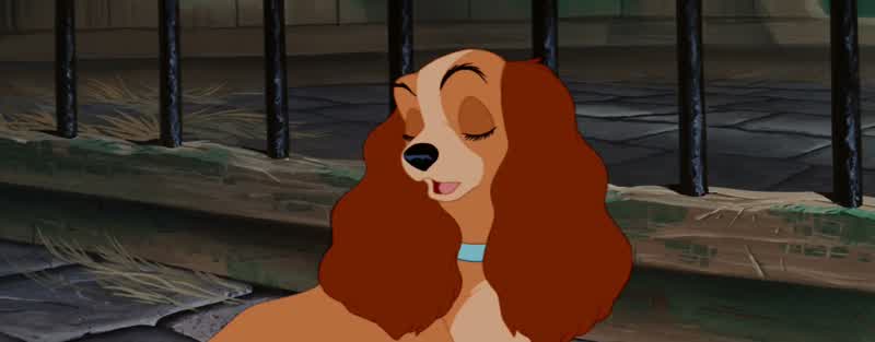 But remember my friendseven Tramp has his Achilles' heelPardon me amigo What is this chili heelAchilles' heel PedroThis is meaning his weaknessesThe dames YeahHe has an eye for a well turned paw he