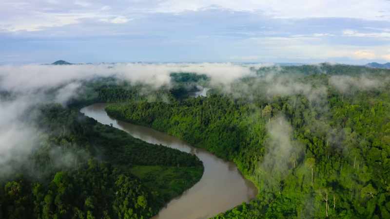 Even within Leuser's lowlands