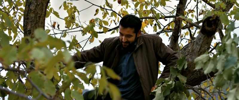 Even you, Imam Veysel, chasing after the forbidden fruit?