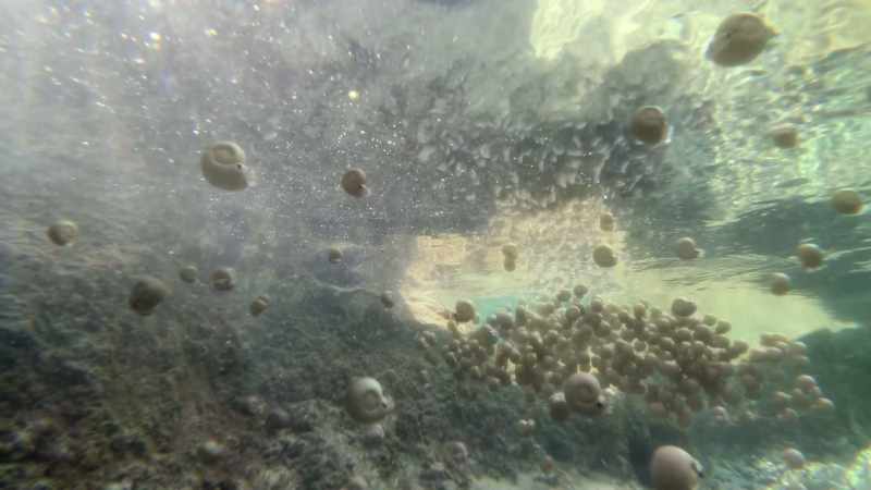 Eventually escaping to deeper water