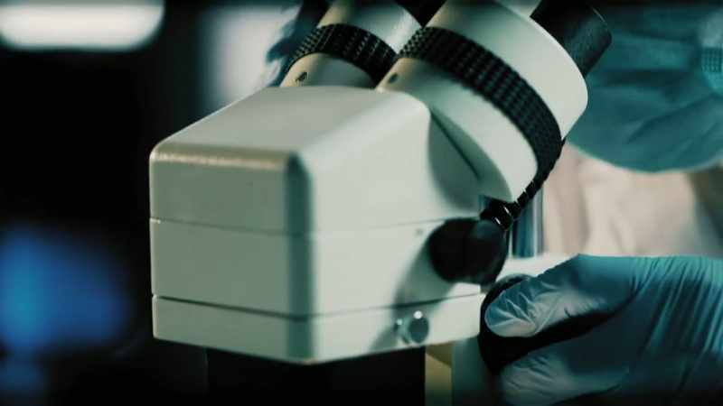 Eventually, the DNA evidence laid bare