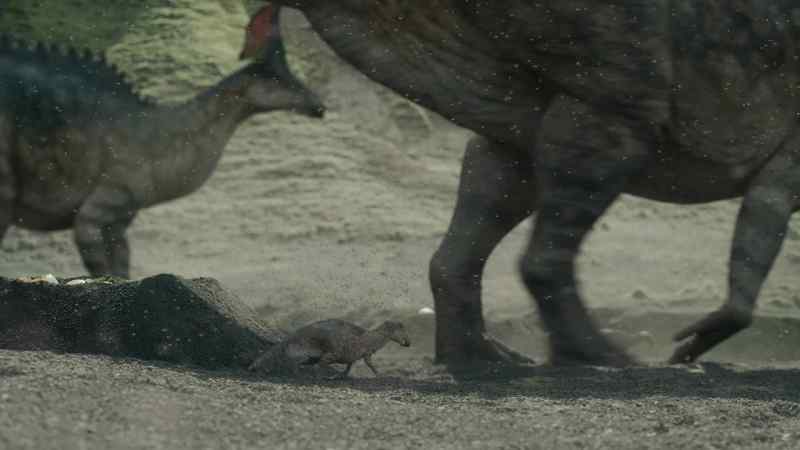 Eventually, the herd is forced to move on to escape the plague