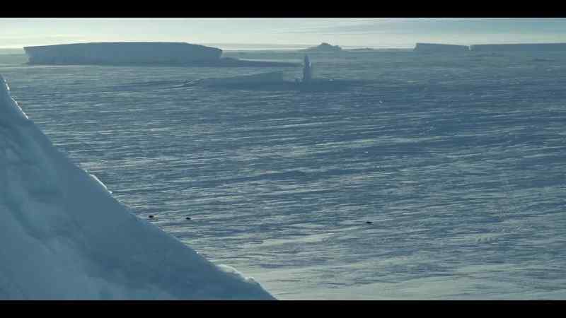 Every adaptation refined by evolution to endure our harshest ocean