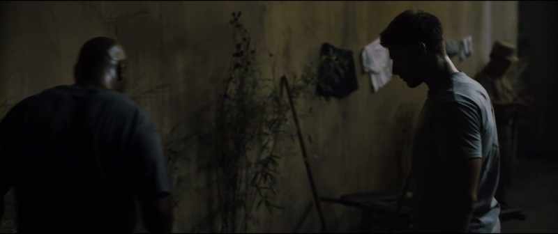Every day, I want you to come down here and grab this plant