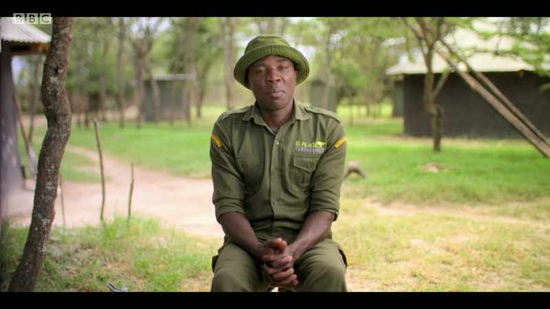 Every day, we lose between two or three rhinos in Africa