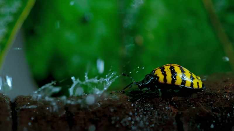 Every drop has a huge impact on tiny lives