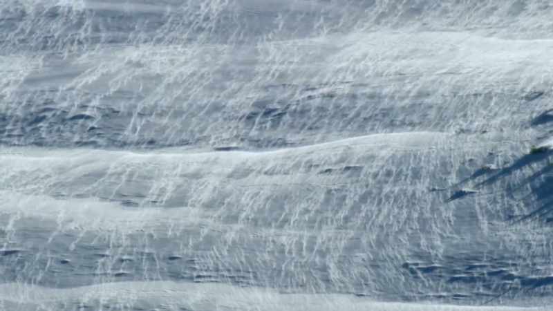 Every living thing in Yellowstone spends