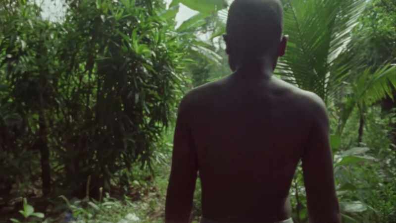 Every summer, Chris would come back from Jamaica