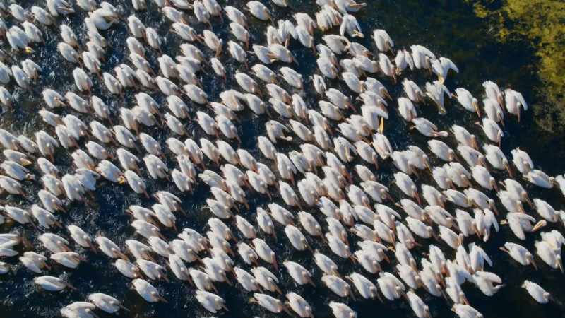 Every summer, three-quarters of the world's population