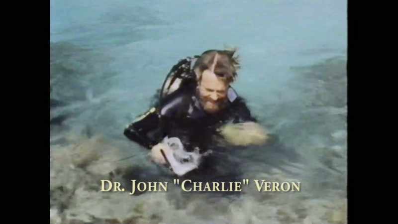 Every time I was looking something up, there he was