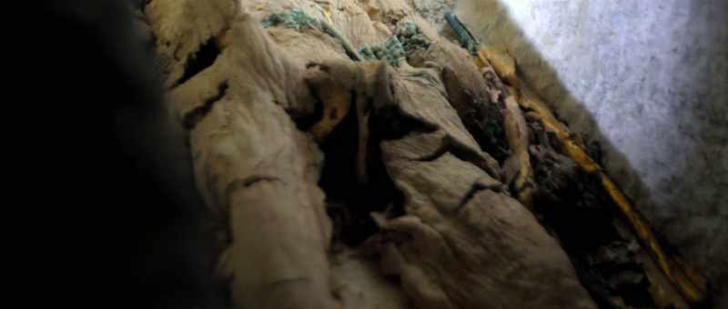 Every time we stand in front of a mummy