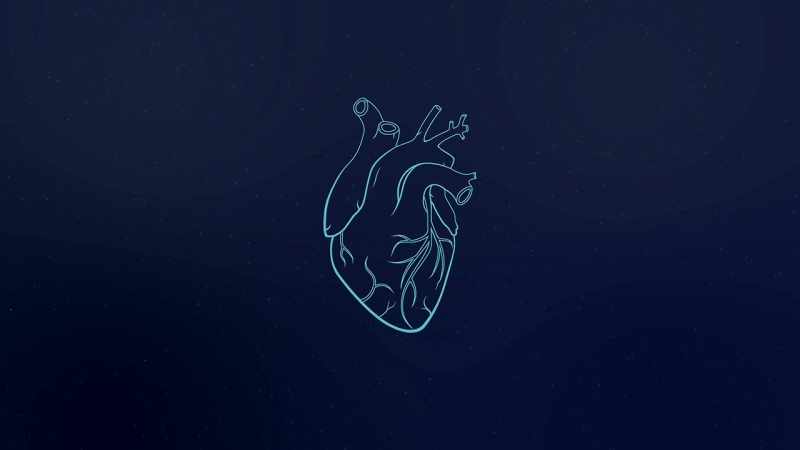 Every time the heart beats, it also