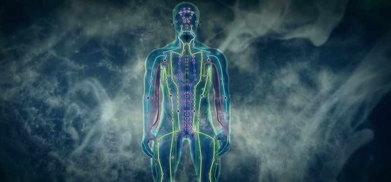 Every tooth connects up energetically through