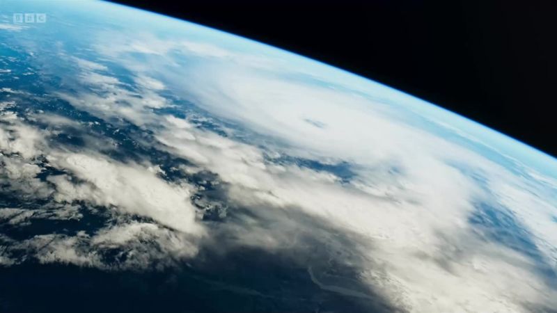 Every winter, a warm ocean current, the gulf stream
