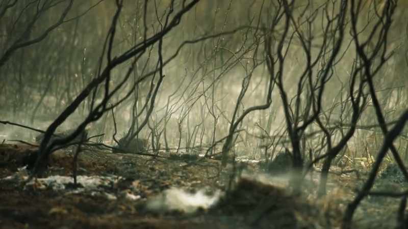 Every year is getting hotter and potentially drier