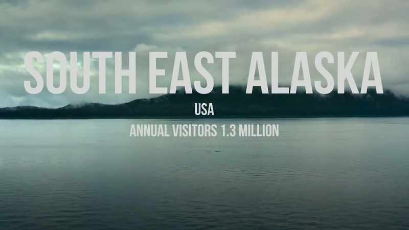 Every year, more than 10,000 humpback whales