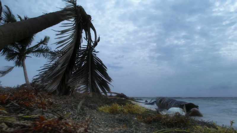 Every year, the Caribbean is ravaged by hurricanes