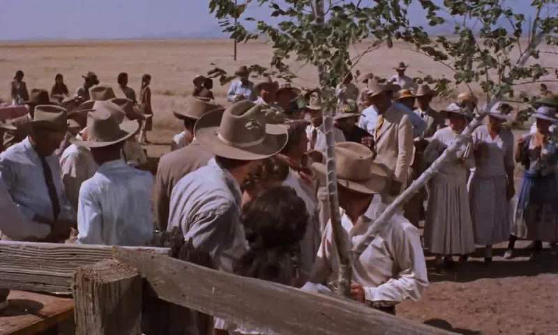 Everybody in this county knows you'd rather herd cattle than make love